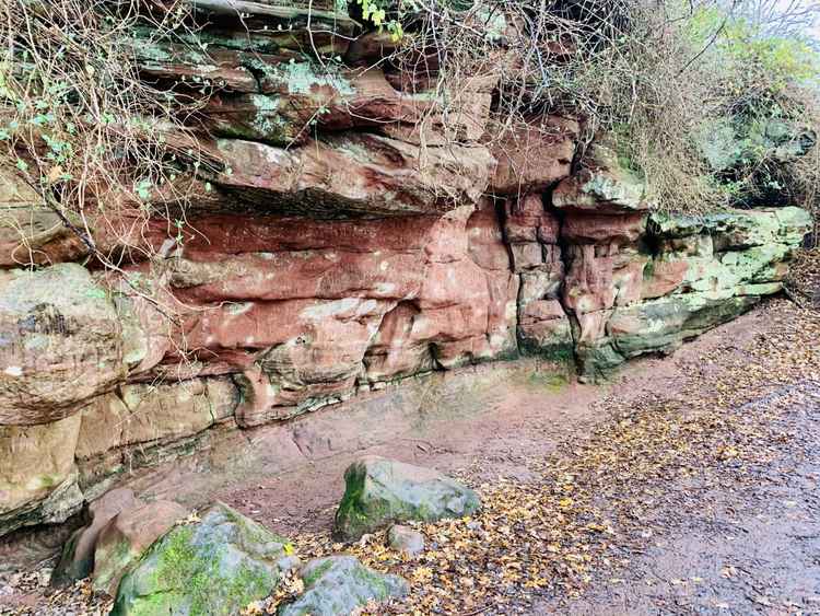 One of Bickerton Hill's many sandstone hollows