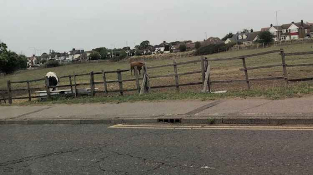 The Wood View site.