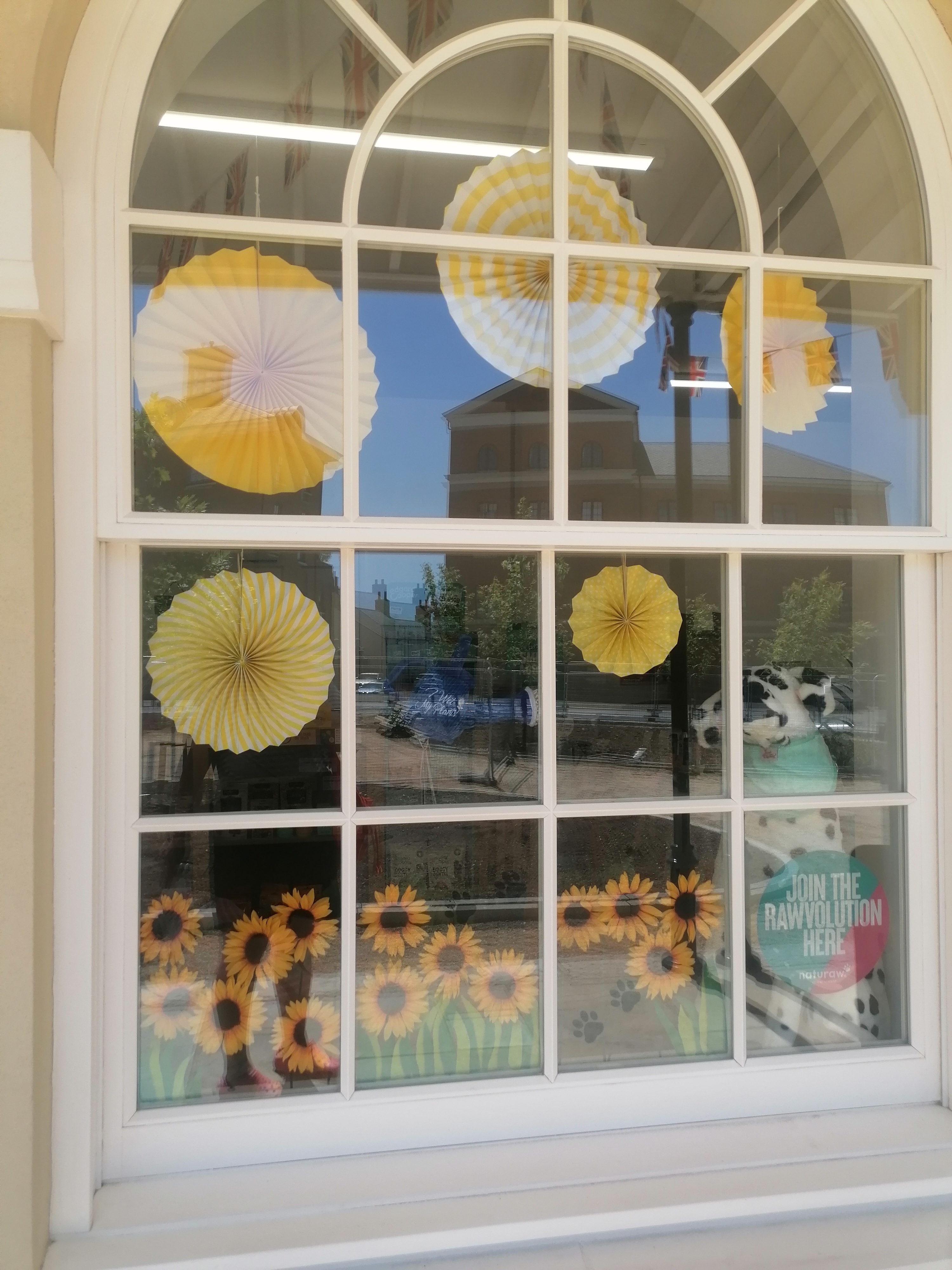 Summer of Sunflowers in Dorchester