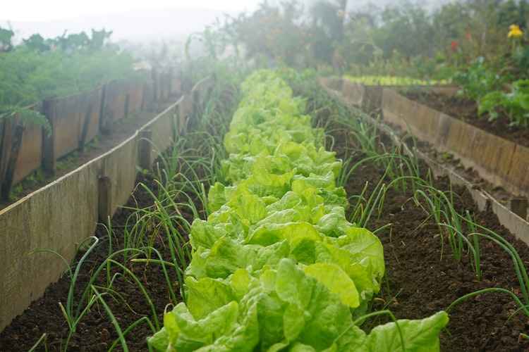 Frodsham Allotments will receive £2,500