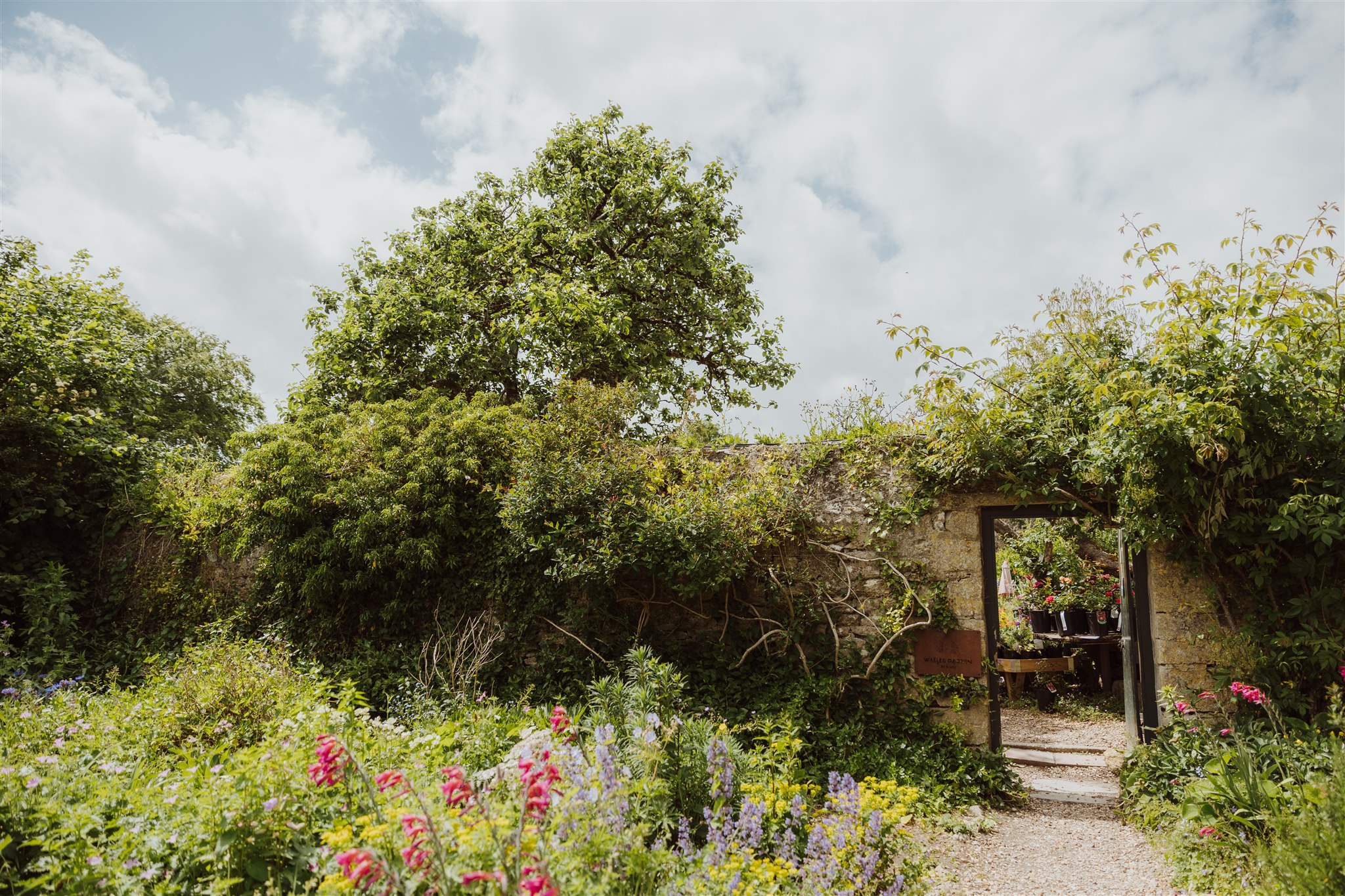 The stunning gardens at Mells 