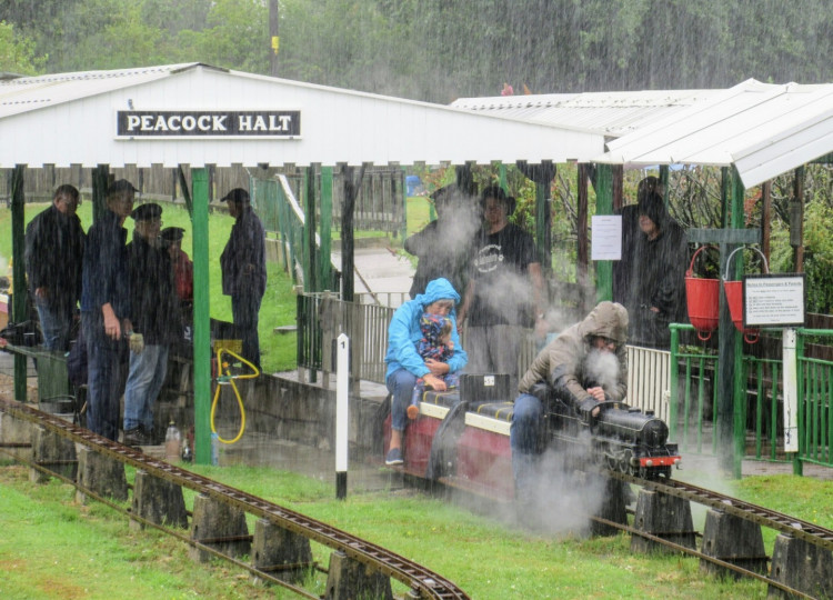 Miniature-gauge steam train leaves Peacock Halt (Jonathan White).