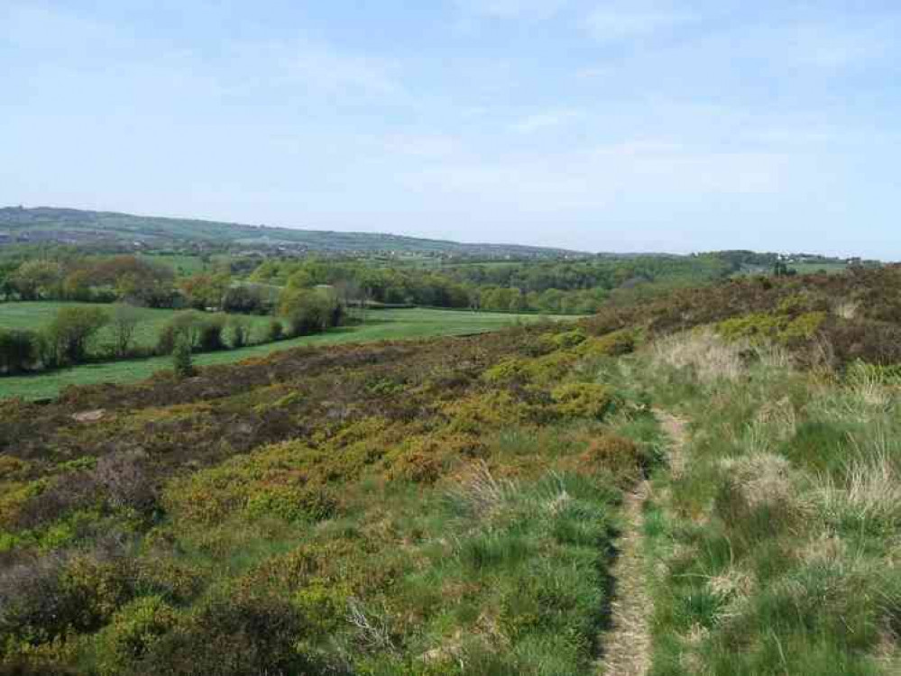 Marshes Hill Common. Image credit: Staffordshire Moorlands District Council