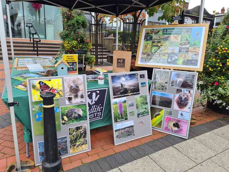 Staffordshire Wildlife Trust also had a stall. Image credit: Kayla Powell