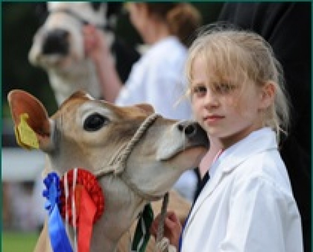 Honiton Show (Credit: Honiton Show)