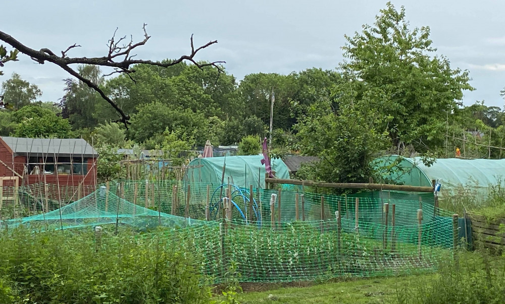 Asbestos removed from Bridge Street allotment (Picture credit: Hadleigh Nub News)