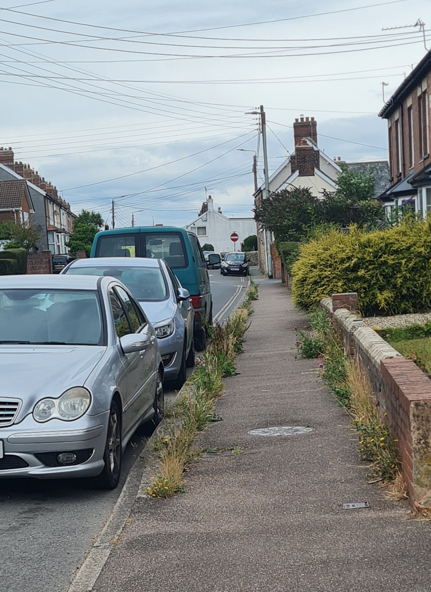 Axminster Town Council recently tackled the weeds on Musbury Road