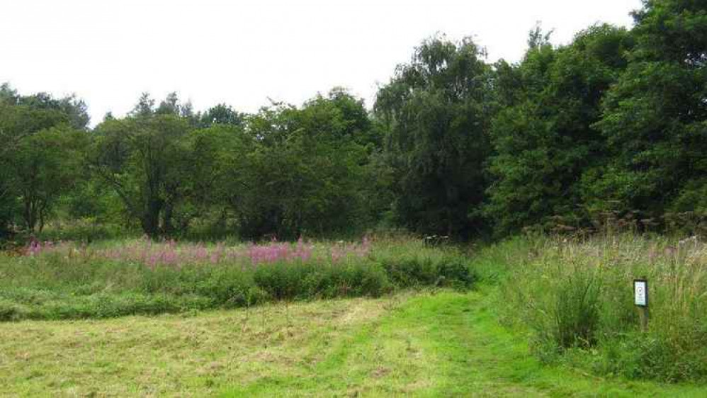 The Newpool Meadows village green was targeted by vandals