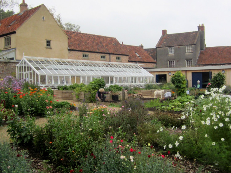 The Bishop's Palace Community Garden