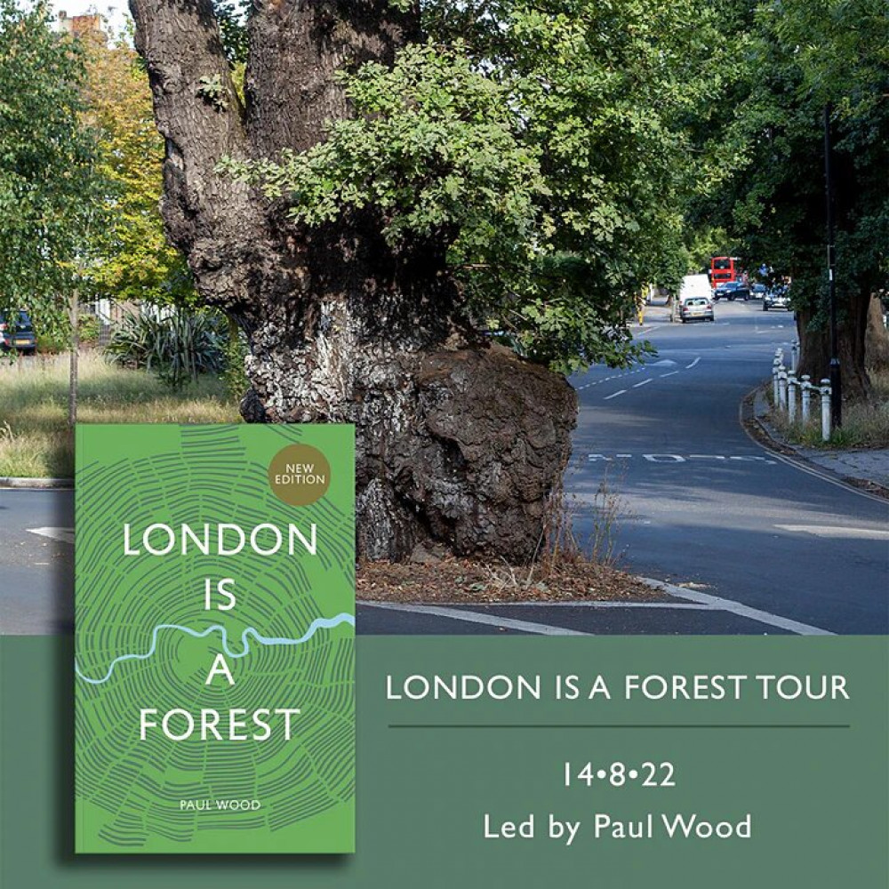 London is a forest