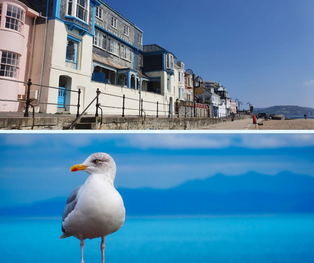 Above - Lyme Regis 