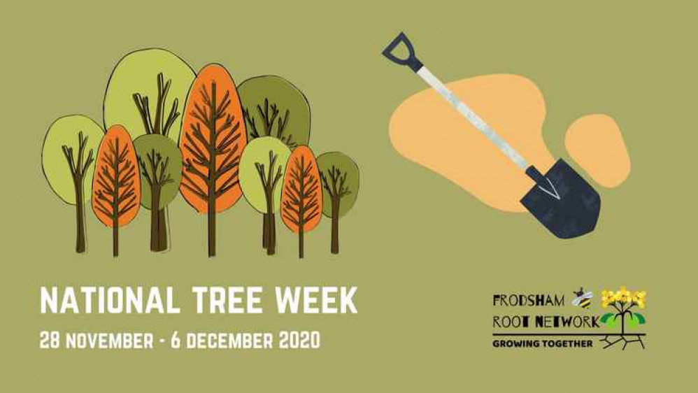 It's National Tree Week!