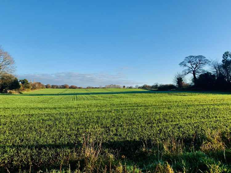 Alvanley fields