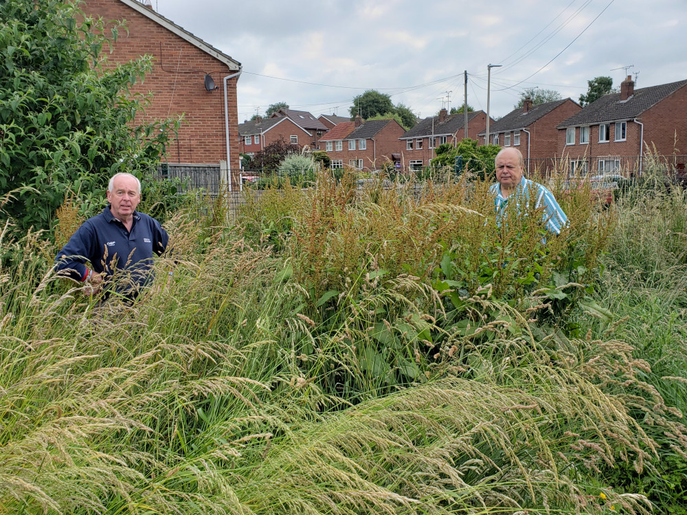 Resident, Nigel Wheeler and Shavington councillor, David Marren, in the long grass on the council-owned site on Southbank Avenue, Shavington (LDRS).