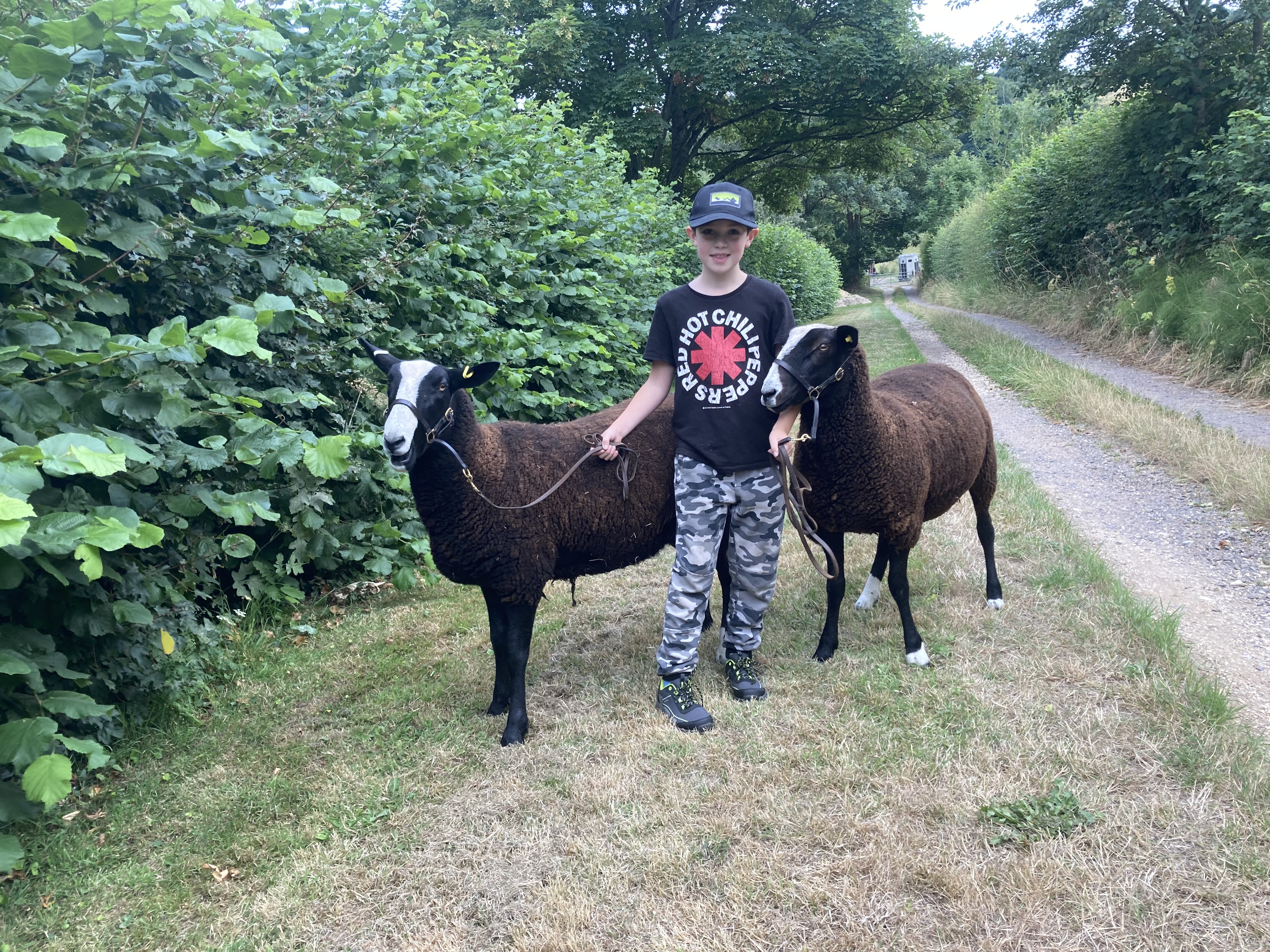 Reuben Machin getting Joy & Jyn ready for showing