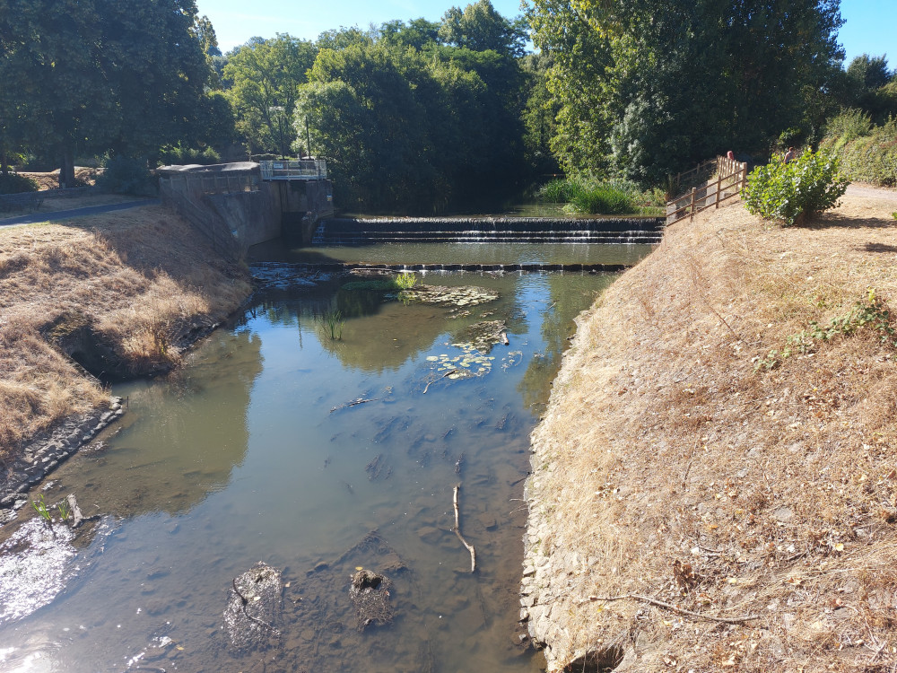 Welshmill Sluice in Frome August 10 : Water levels very low 