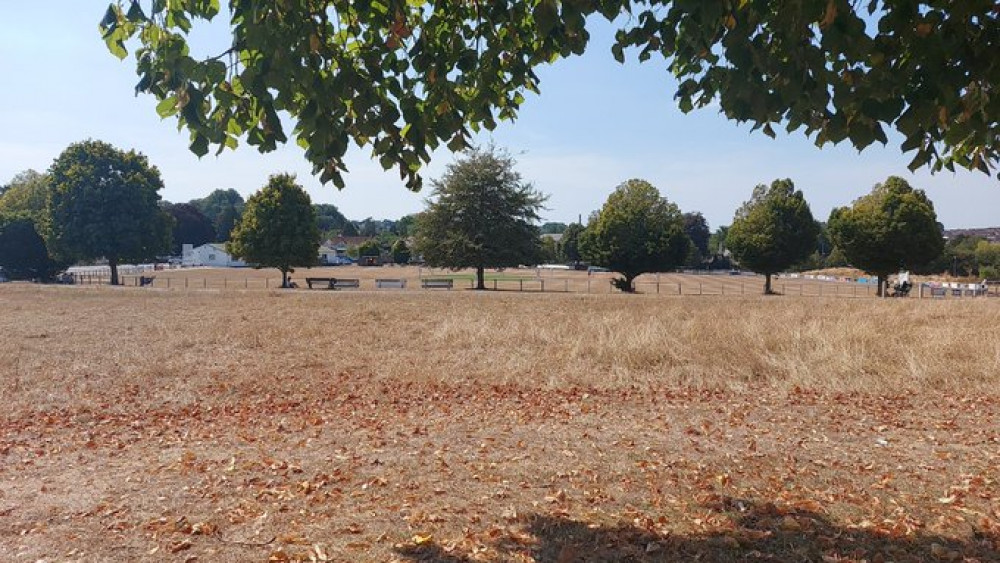 Frome show field August 13 : The heat did not stop the cricket 