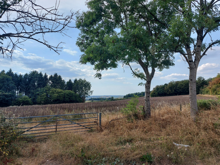 The fields across to Midsomer Norton August 14