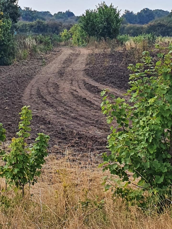 The fire break created by farmers