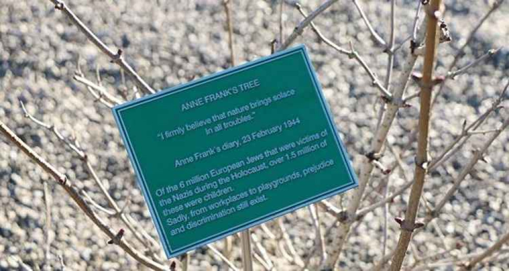 Anne Frank Tree at National Memorial Arboretum in Alrewas