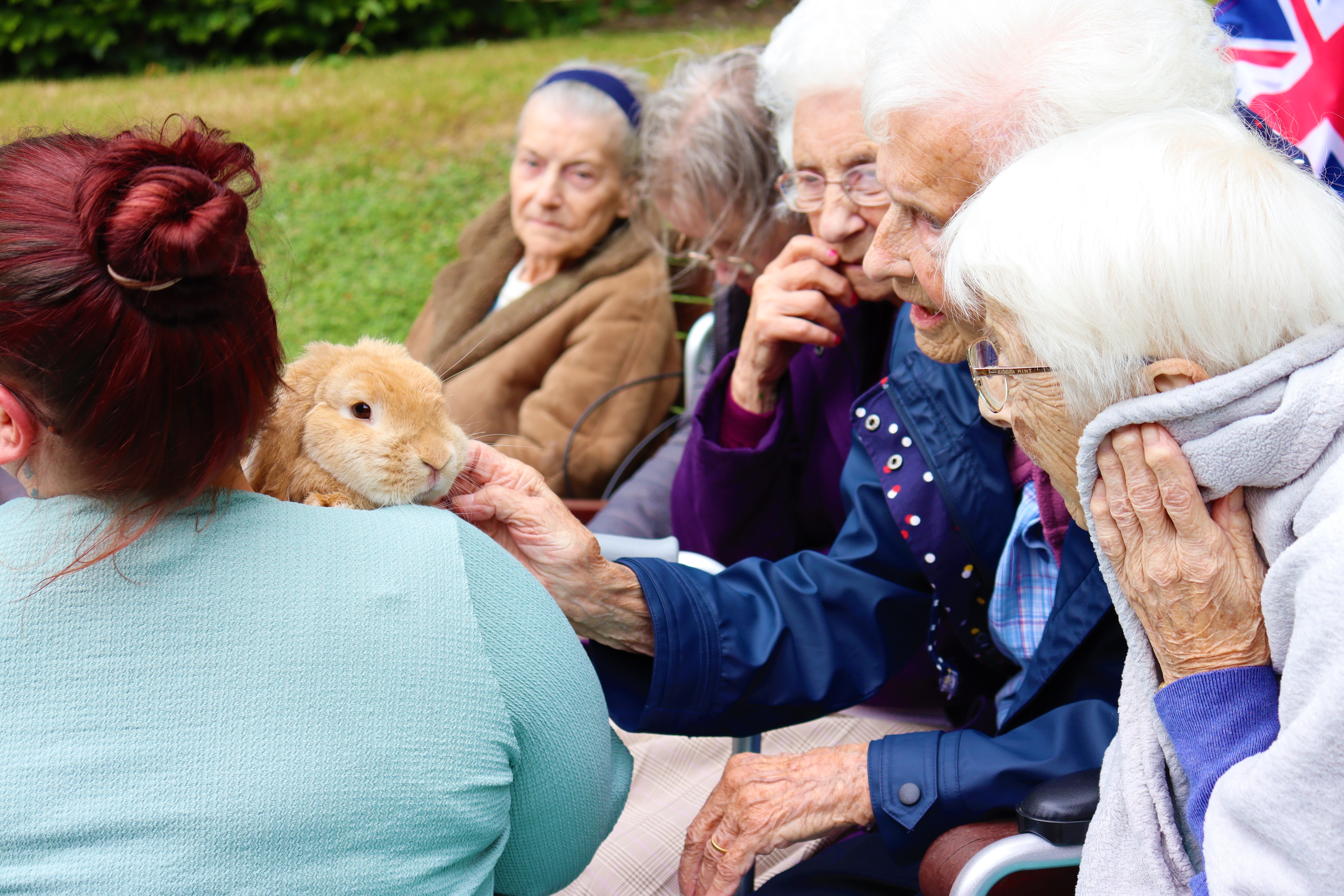 Cheriton Care Home residents meet Rumple the rabbit
