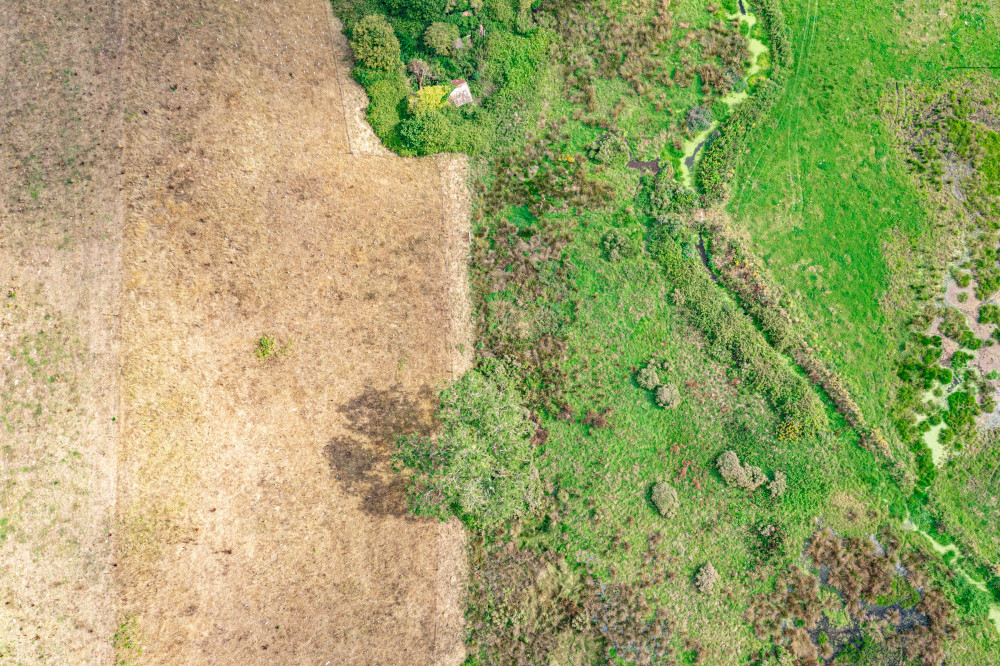 Drone image of beaver impact on land (Clinton Devon Estates)