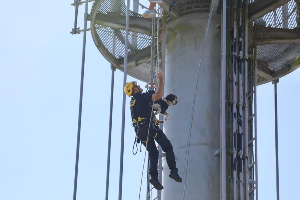  Sgt Nick Dalrymple and PD Fred mid-abseil (photo courtesy of @ASPoliceDrones)