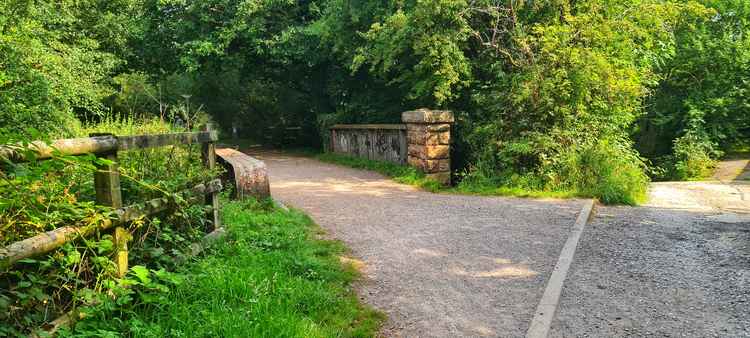 An area of Biddulph Valley Way. Image credit: Kayla Powell