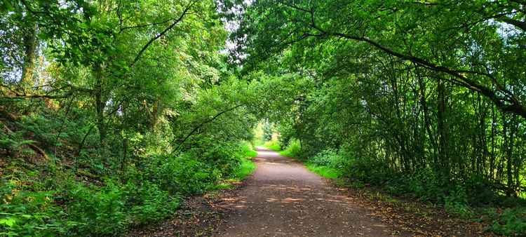 A section of Biddulph Valley Way. Image credit: Kayla Powell