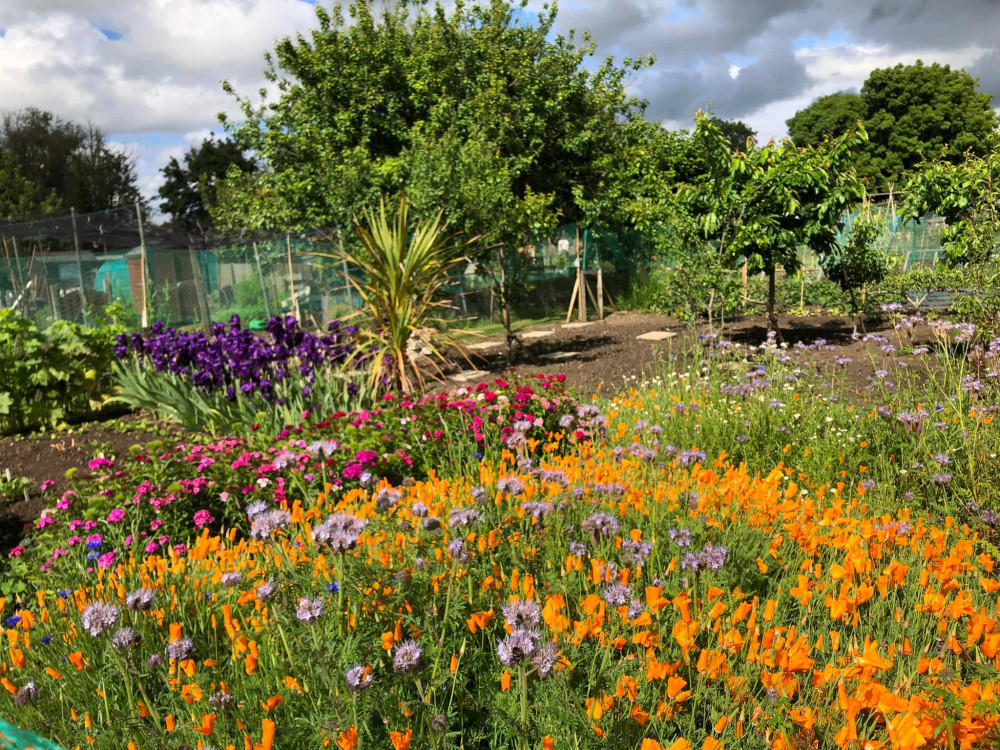 Hadleigh in flower