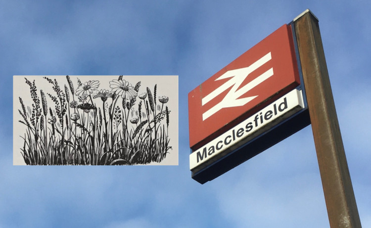 A mural inspired by Macclesfield artist Charles Tunnicliffe (1901-1979) is coming to Macclesfield Railway Station. (Image - Alexander Greensmith / Macclesfield Nub News) 