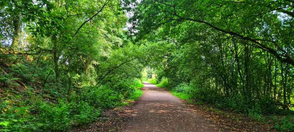 The Biddulph Valley Way. Image credit: Kayla Powell