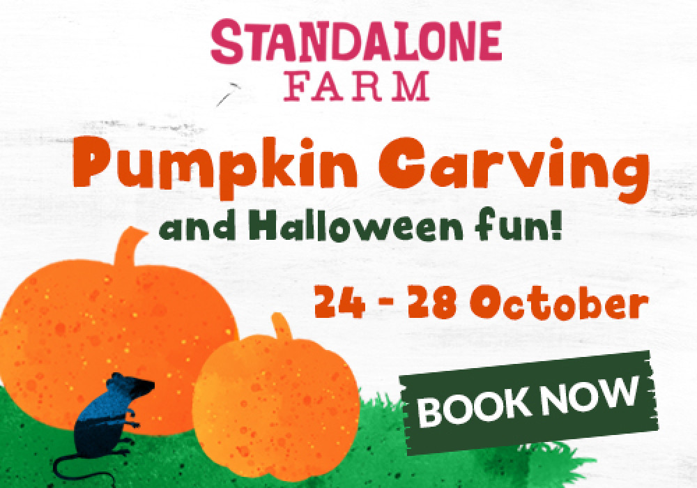 Visit Standalone Farm this October half-term for some spooky fun! Pick your perfect pumpkin and get creative carving a creepy face or a ghoulish scene