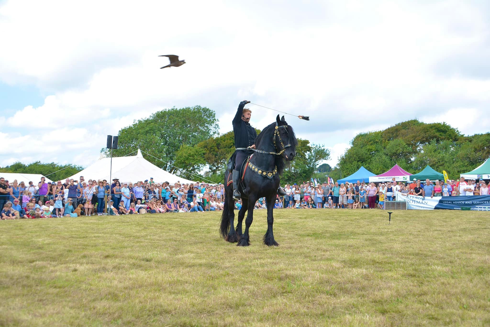 Melplash Show (Image: Andy Potter Photography)