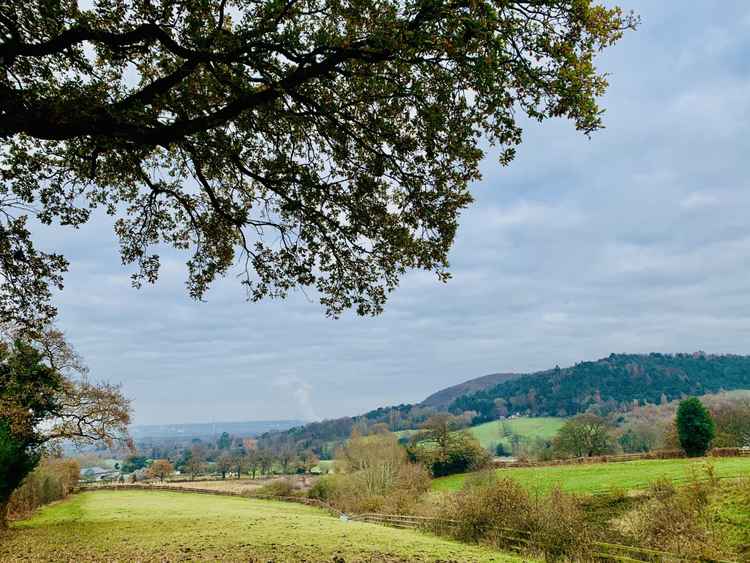 Coming down through the fields towards Tarvin Road