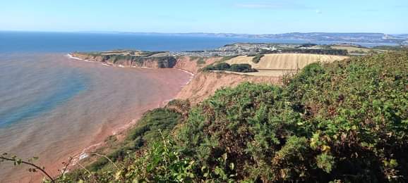 The coast in East Devon (Credit: Barry Ryerson)