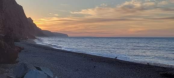 The East Devon coastline at sunrise (Credit: Barry Ryerson)