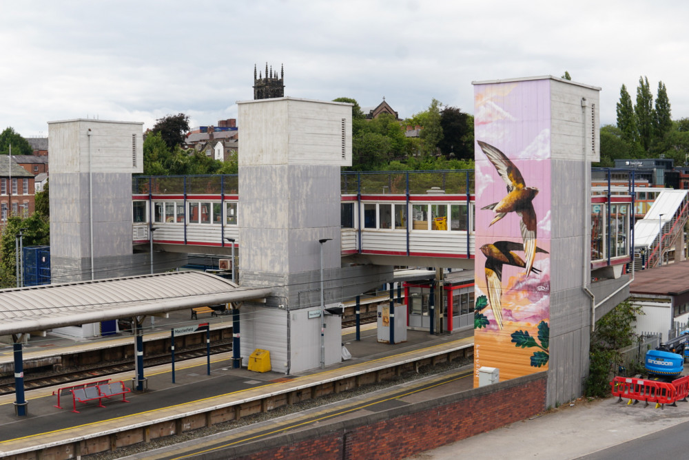 This stunning new mural inspired by Charles Tunnicliffe inspired can be found at at Macclesfield Railway Station. 