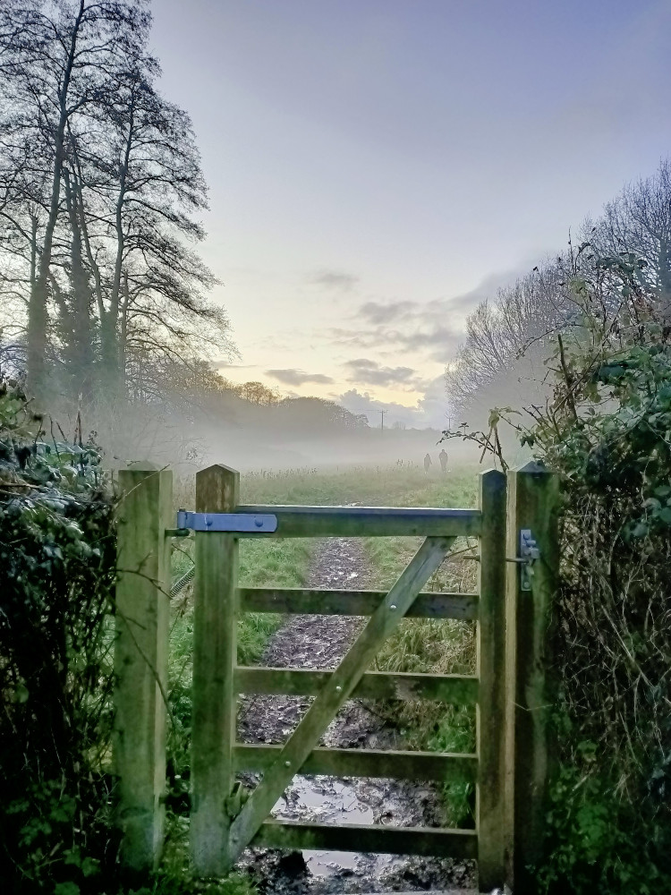 A view into the footpath in December 2021