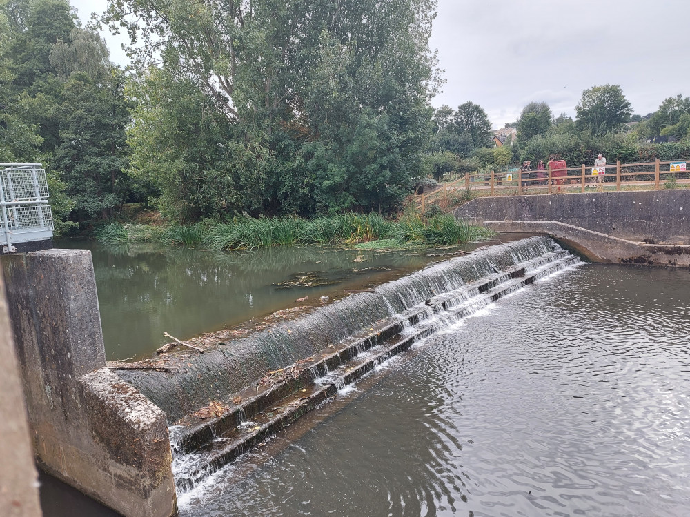 Frome weir September 4