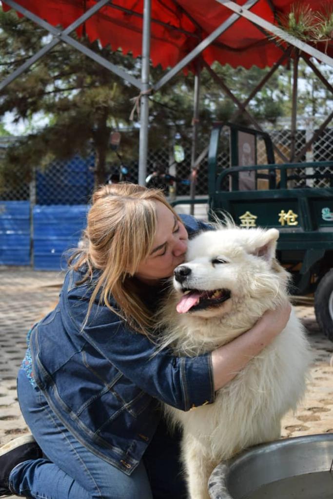 A pioneering animal charity will shake paws with the public in North Herts. CREDIT: NoToDogMeat/ Animal News Agency