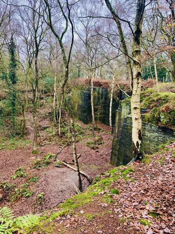 The old quarry in Harmers Wood