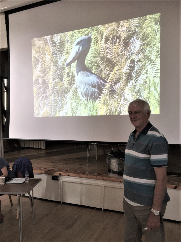 John Wilson with a Shoebill in the background