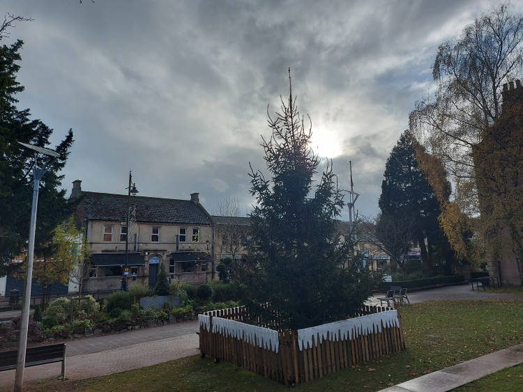 Last year's tree in the centre of Midsomer Norton