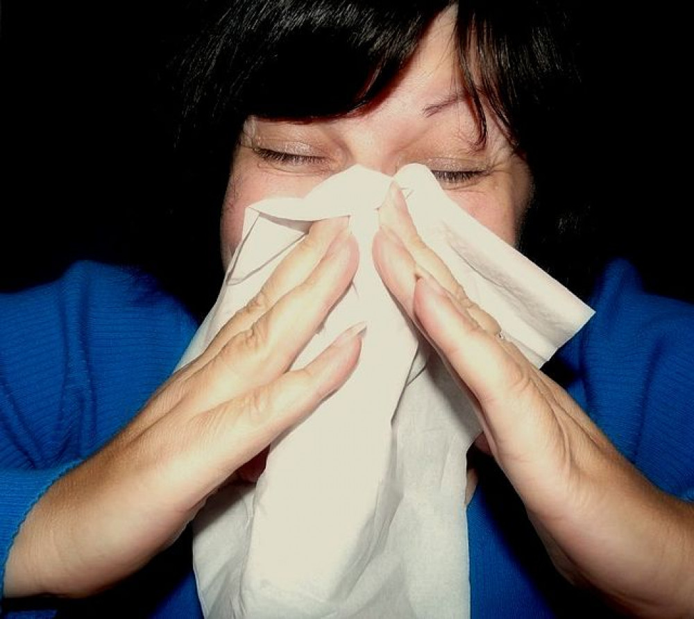 A local councillor has said people have forgotten how nasty flu can be (Wikimedia Commons).