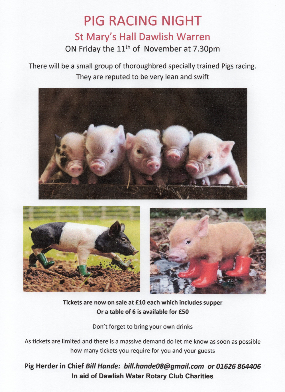 Dawlish Water Rotary Club Pig Racing Night