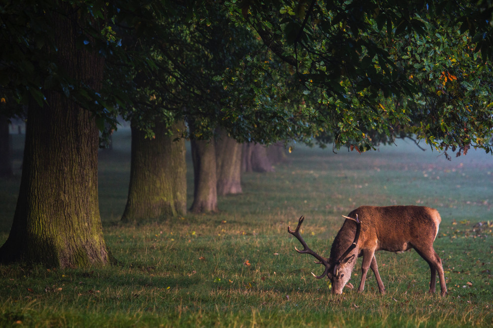 No idea. Drivers urged to be extra vigilant on the roads this autumn. CREDIT: Unsplash