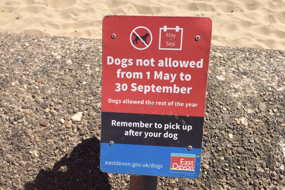 EDDC sign on Exmouth seafront indicating dog beach ban duration (Nub News/ Will Goddard)