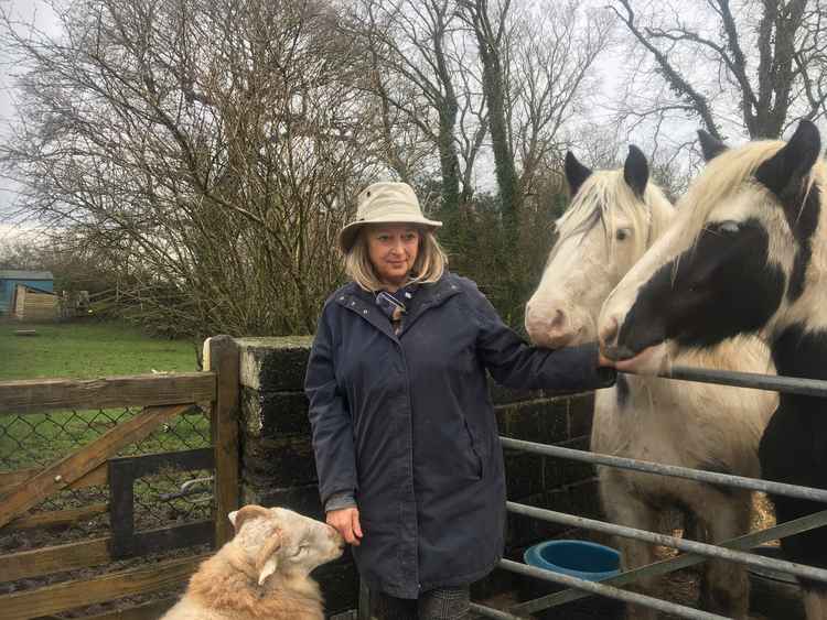 Robbie with some of the horses at the sanctuary