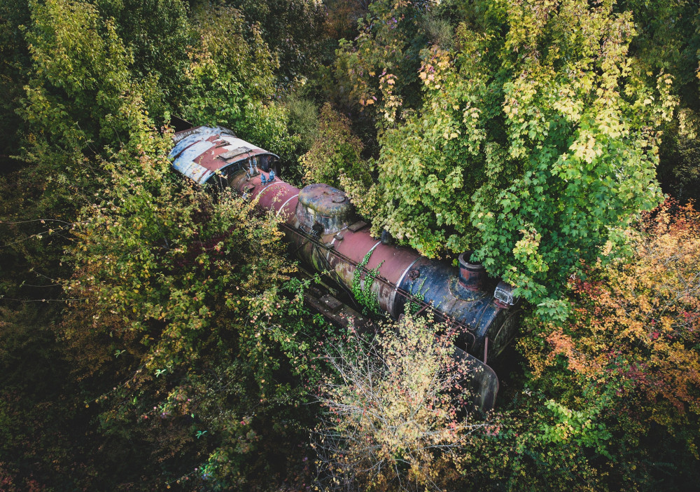 Harry Potter style train hidden in woods (Picture: SWNS)